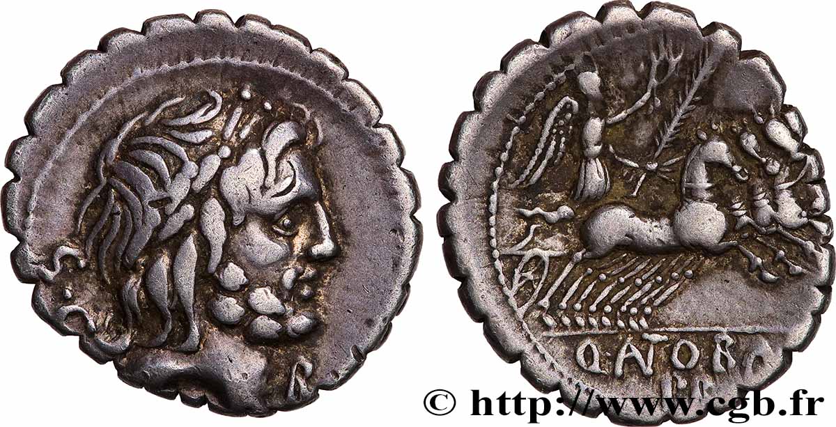 ANTONIA Denier serratus fVZ