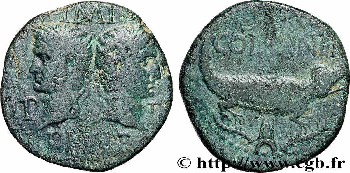 NEMAUSUS - NÎMES - AUGUSTE et AGRIPPA Dupondius COL NEM (as) TTB