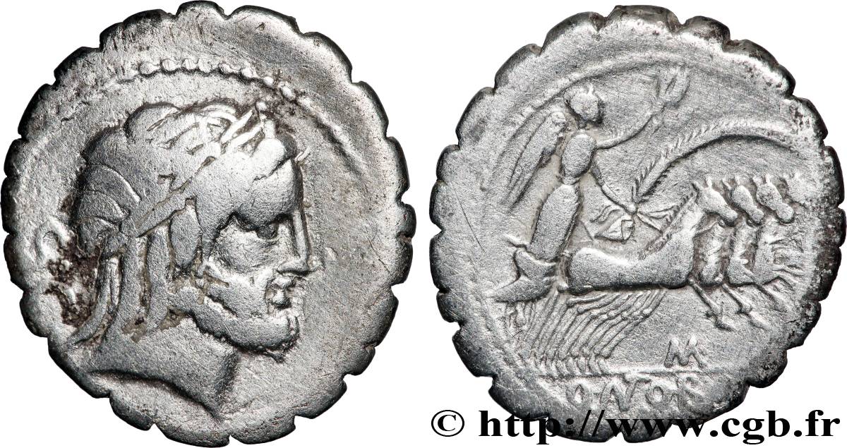 ANTONIA Denier serratus SS