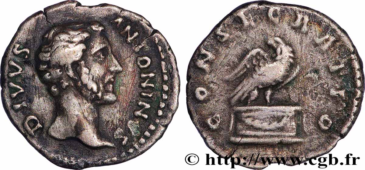 DIVO ANTONINO Denier BB