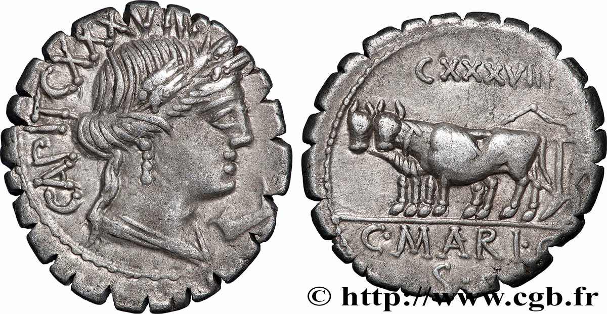 MARIA Denier serratus fVZ