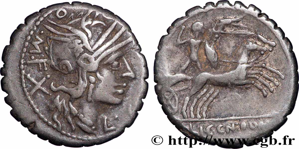 COSCONIA Denier serratus XF