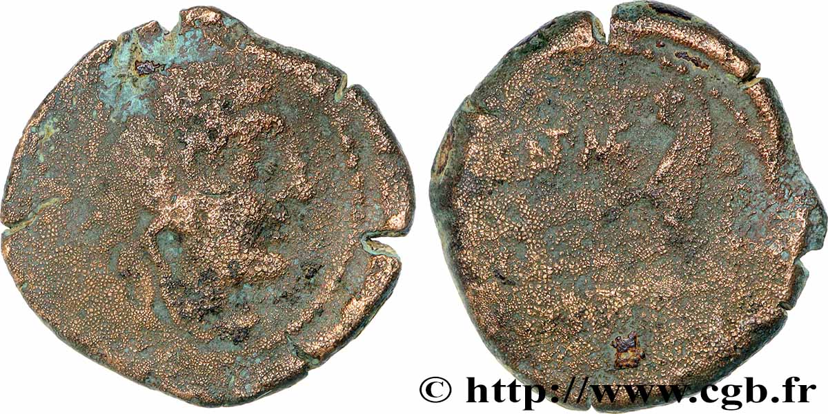 VARGUNTEIA Quadrans TB