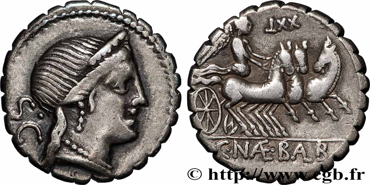 NAEVIA Denier serratus AU