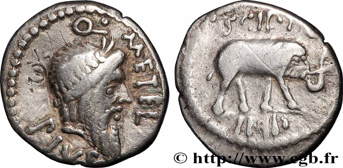 SCIPIO Denier SS
