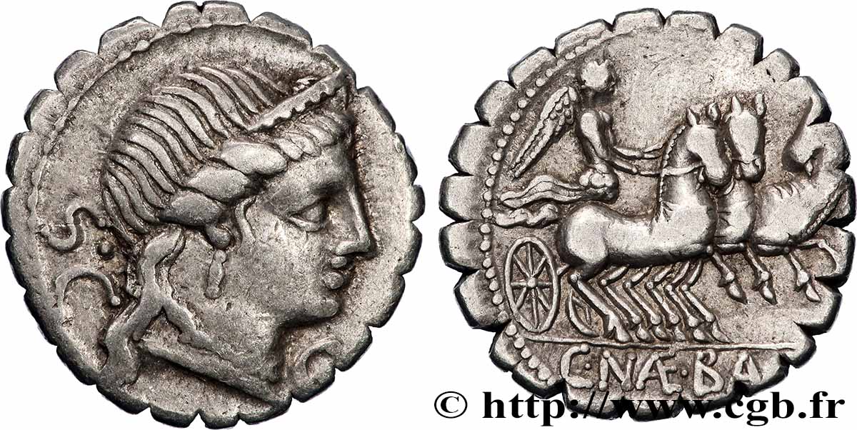 NAEVIA Denier serratus AU