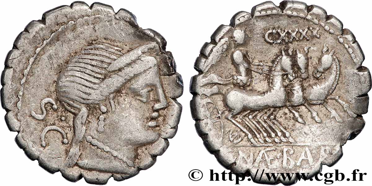 NAEVIA Denier serratus XF