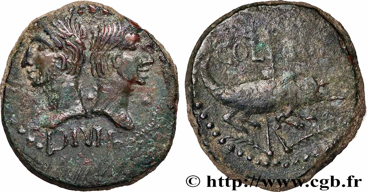 AUGUSTUS and AGRIPPA Dupondius COL NEM (as) - Agrippa barbu XF/VF
