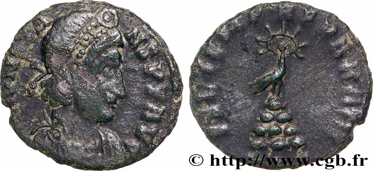 CONSTANS Demi-maiorina fSS/SS