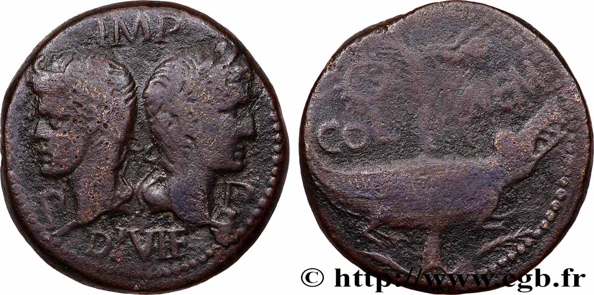 NEMAUSUS - NIMES - AUGUSTUS und AGRIPPA Dupondius COL NEM (as) SS/fSS