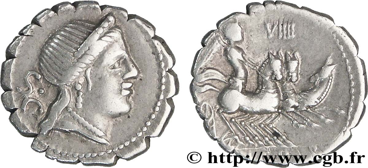 NAEVIA Denier serratus TTB