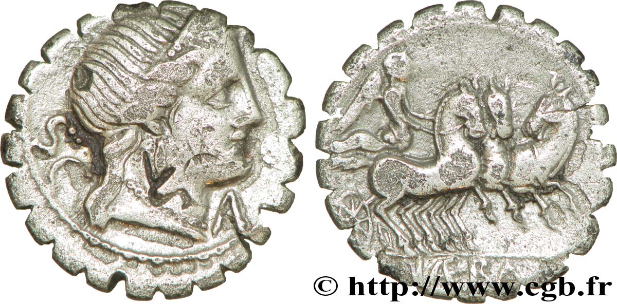 NAEVIA Denier serratus TB