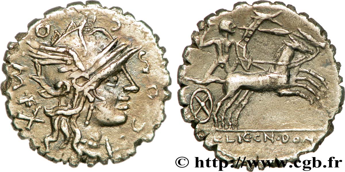 COSCONIA Denier serratus SUP