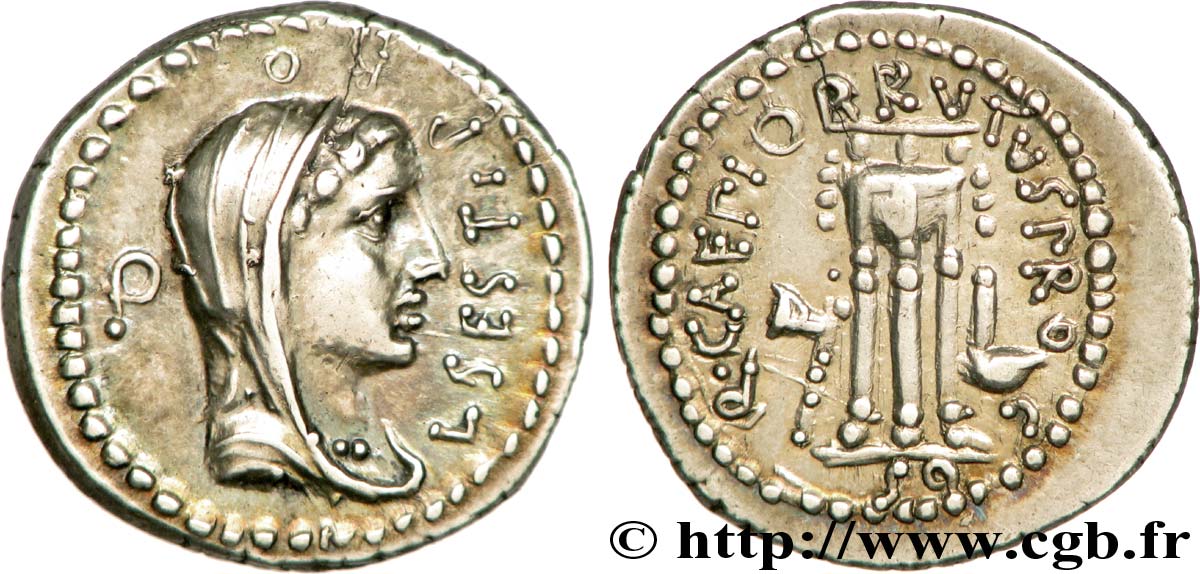 BRUTUS Denier ST