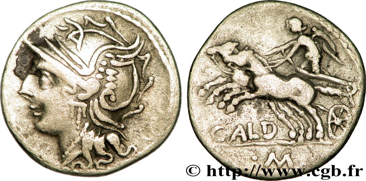 COELIA Denier  TB+