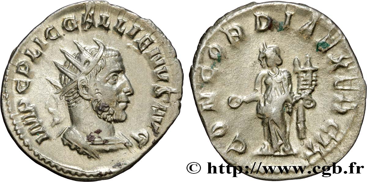 GALLIEN Antoninien SUP