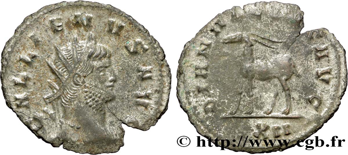 GALLIEN Antoninien SUP