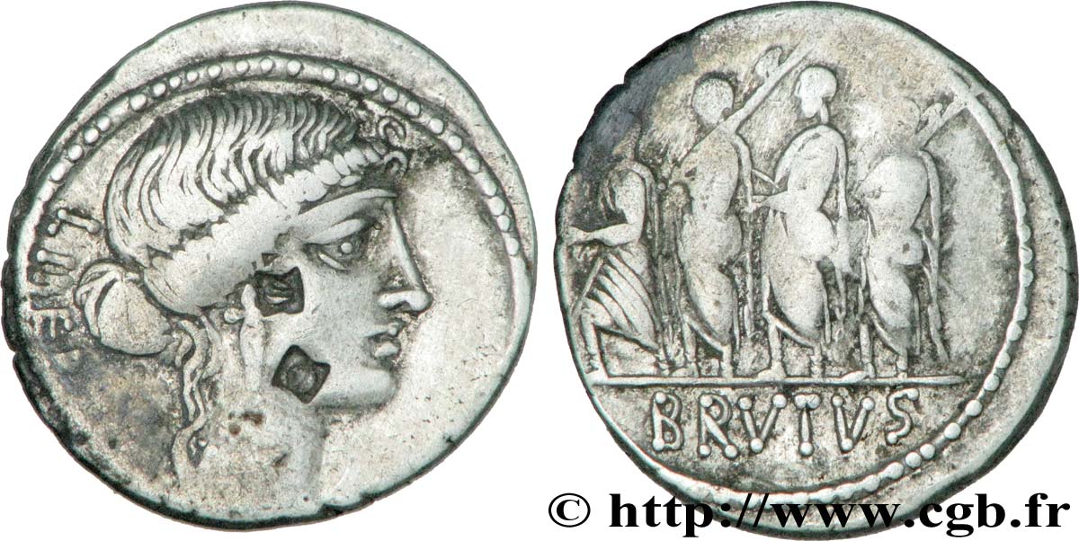 BRUTUS Denier fSS