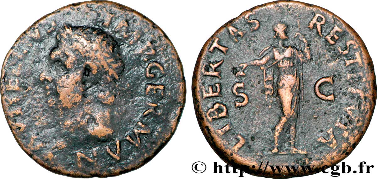VITELIO As BC