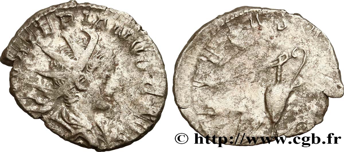 SALONINO Antoninien BC