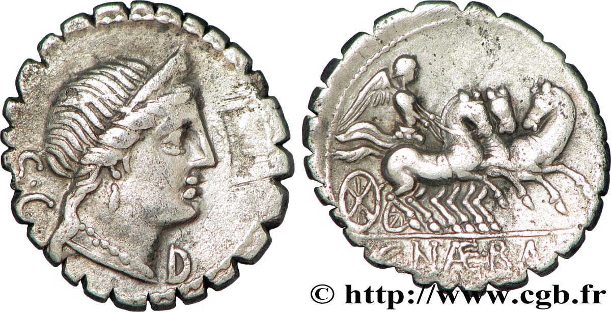 NAEVIA Denier serratus TTB