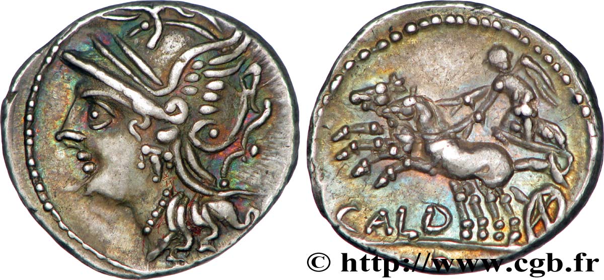 COELIA Denier SPL