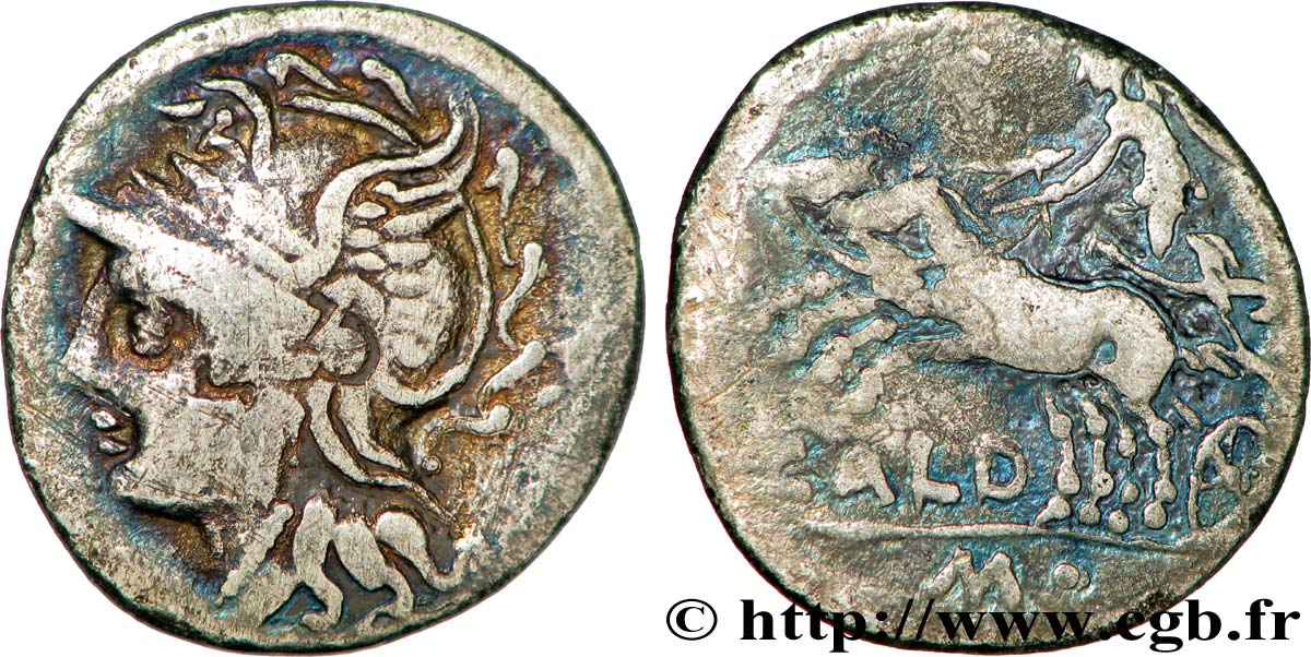 COELIA Denier TB