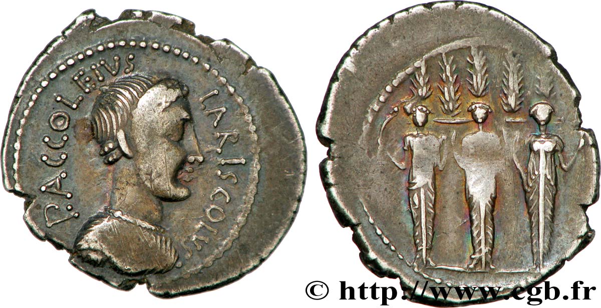 ACCOLEIA Denier TTB+