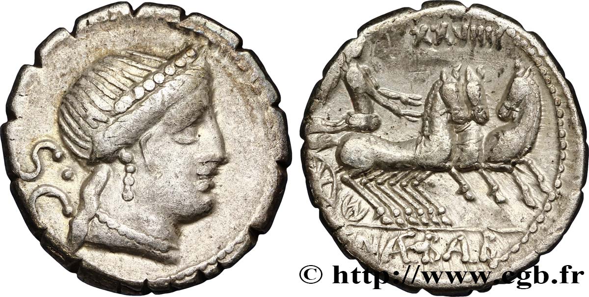 NAEVIA Denier serratus TTB