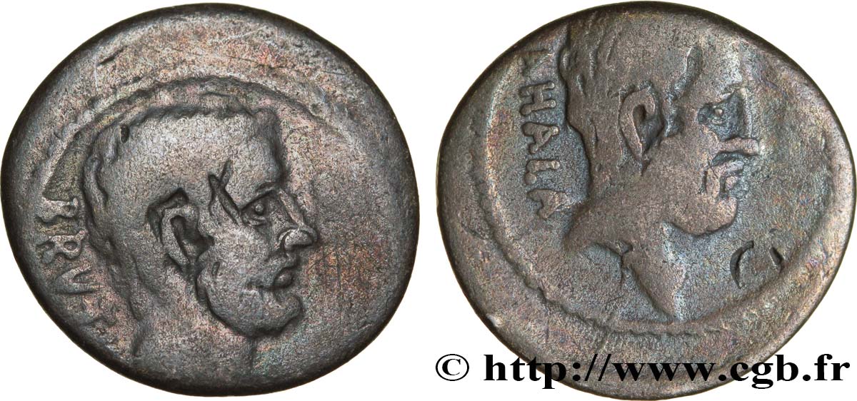 BRUTUS Denier TB