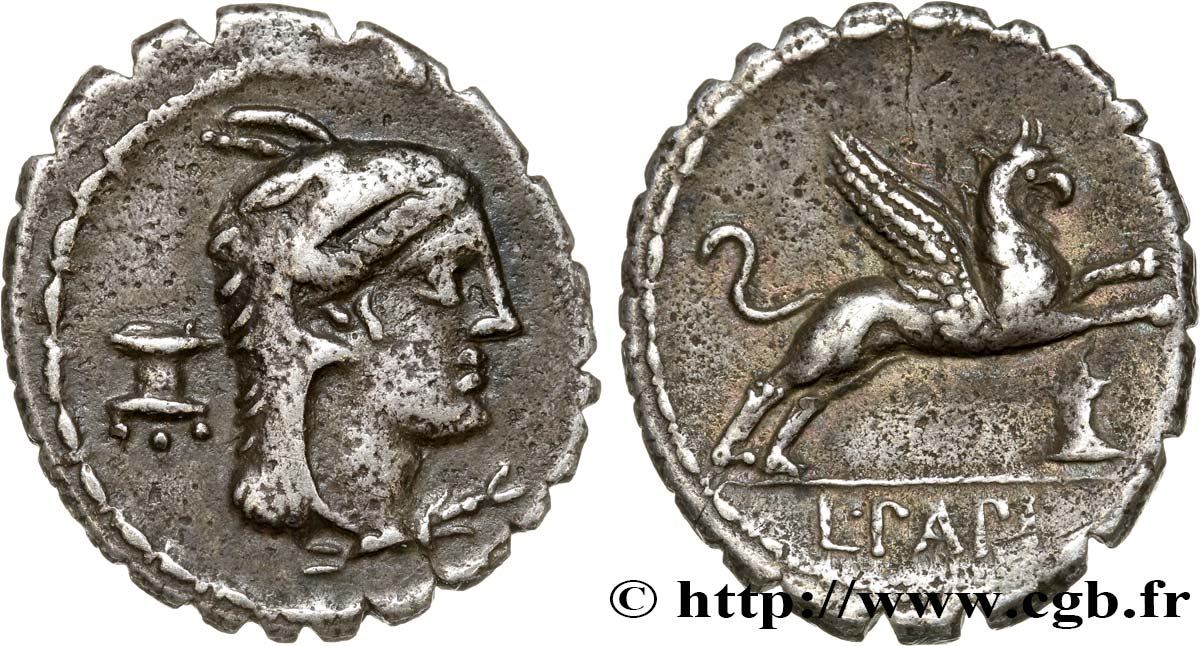 PAPIA Denier serratus TTB