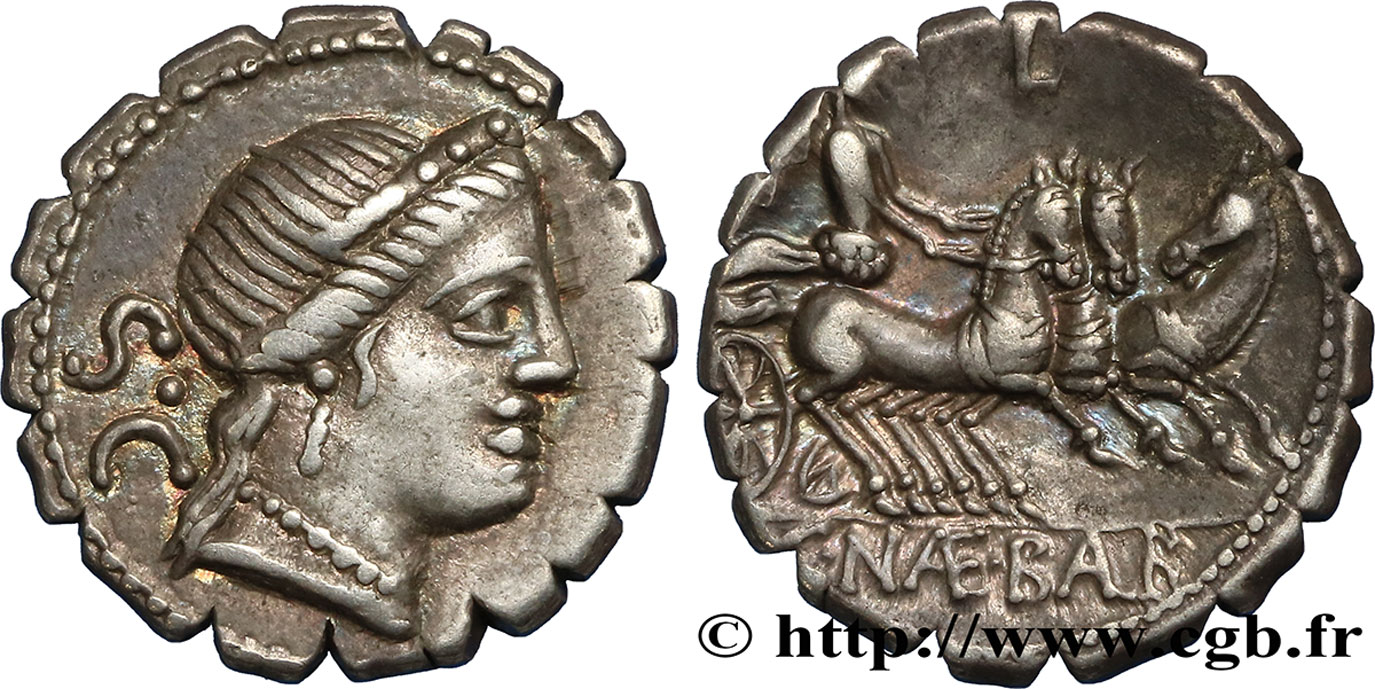 NAEVIA Denier serratus SUP