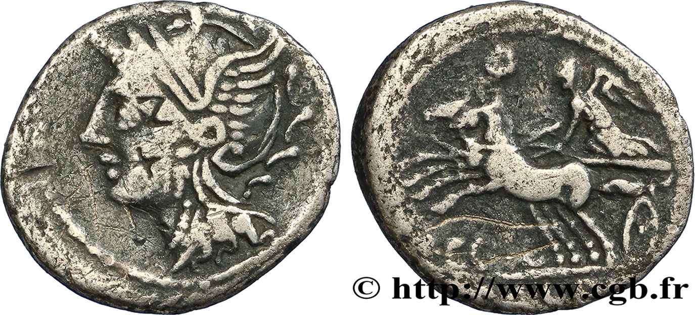 COELIA Denier TB