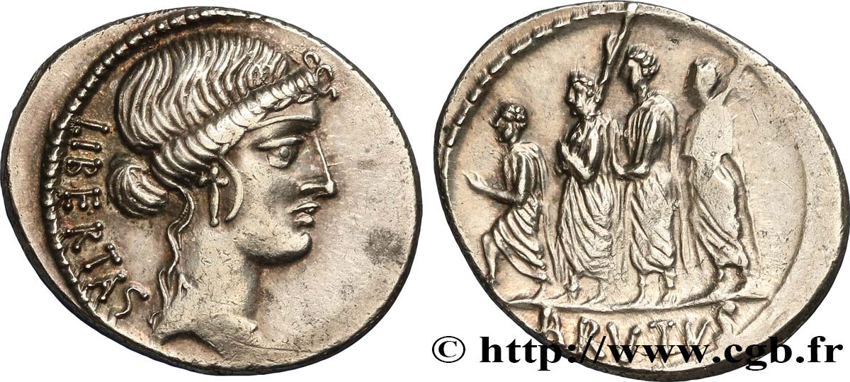 BRUTUS Denier SUP