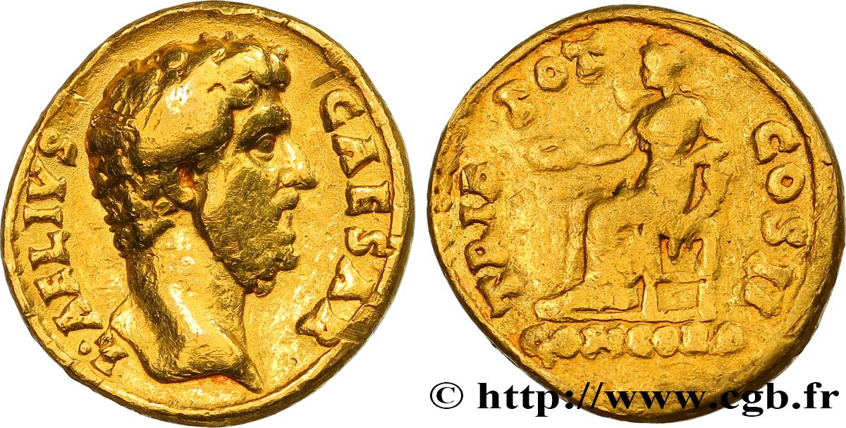 AELIO Aureus BC