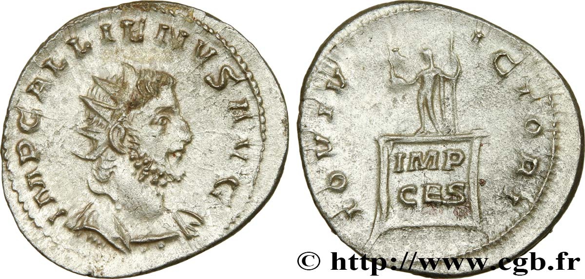 GALLIEN Antoninien SUP