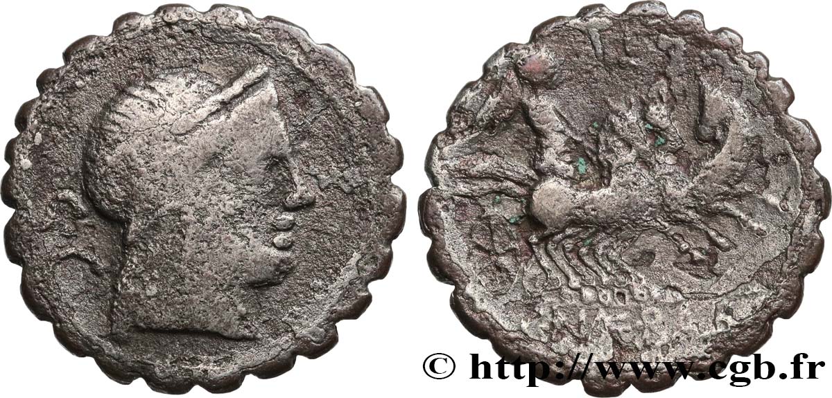 NAEVIA Denier serratus TB