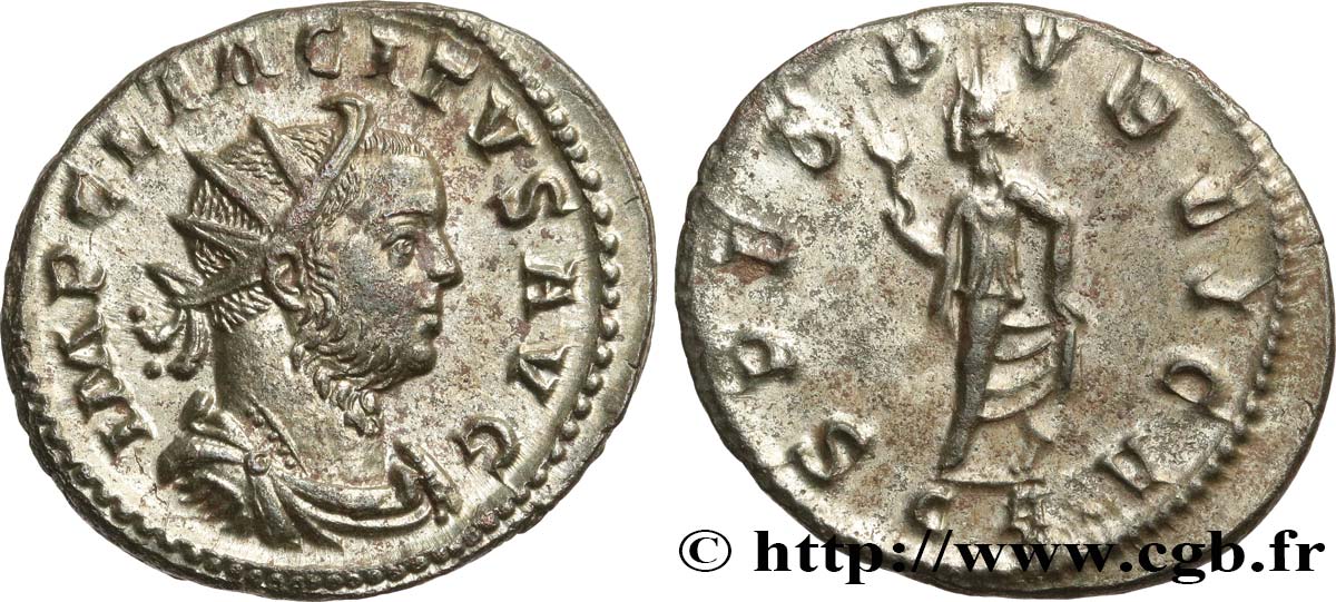TACITUS Aurelianus VZ/fVZ