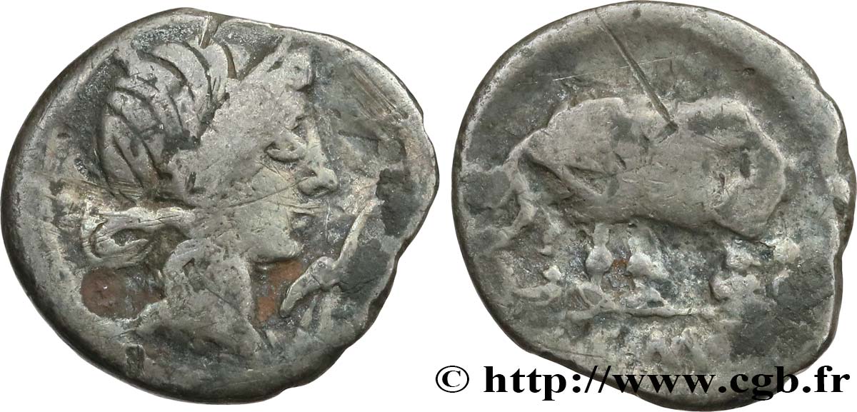 CAECILIA Denier TB