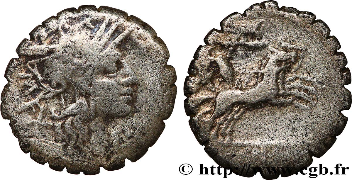 COSCONIA Denier serratus TB+