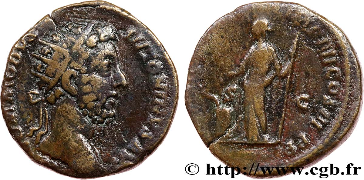 COMMODE Dupondius TB+