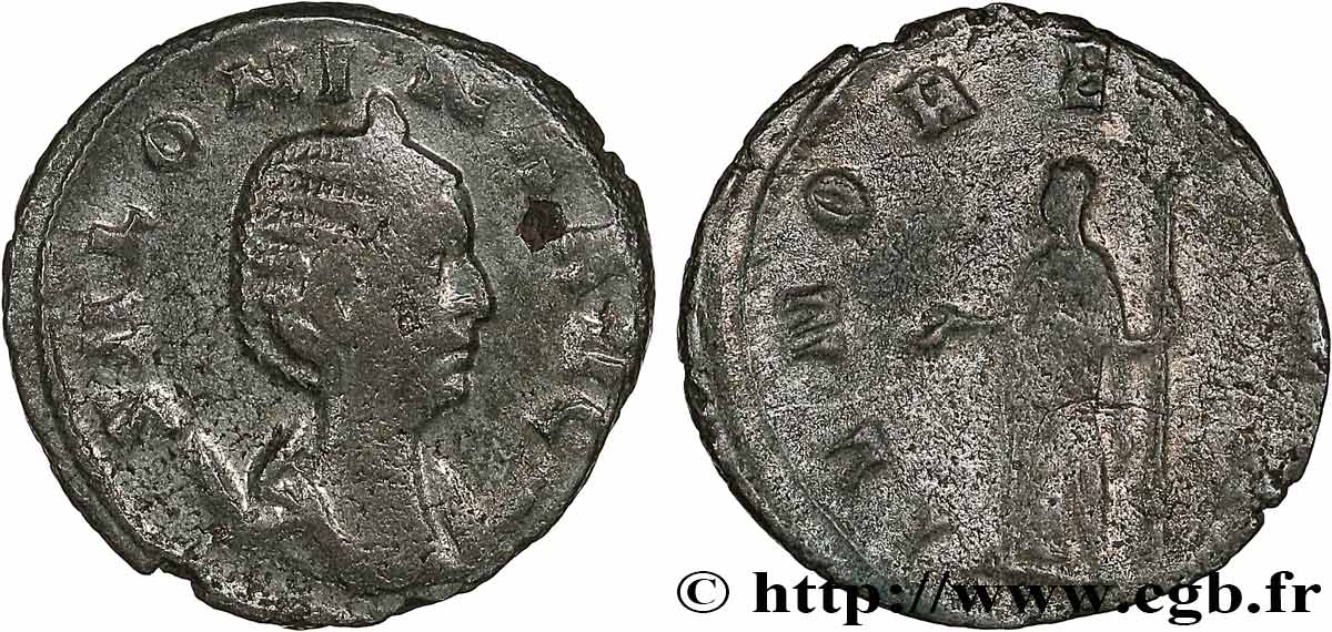 SALONINA Antoninien MBC