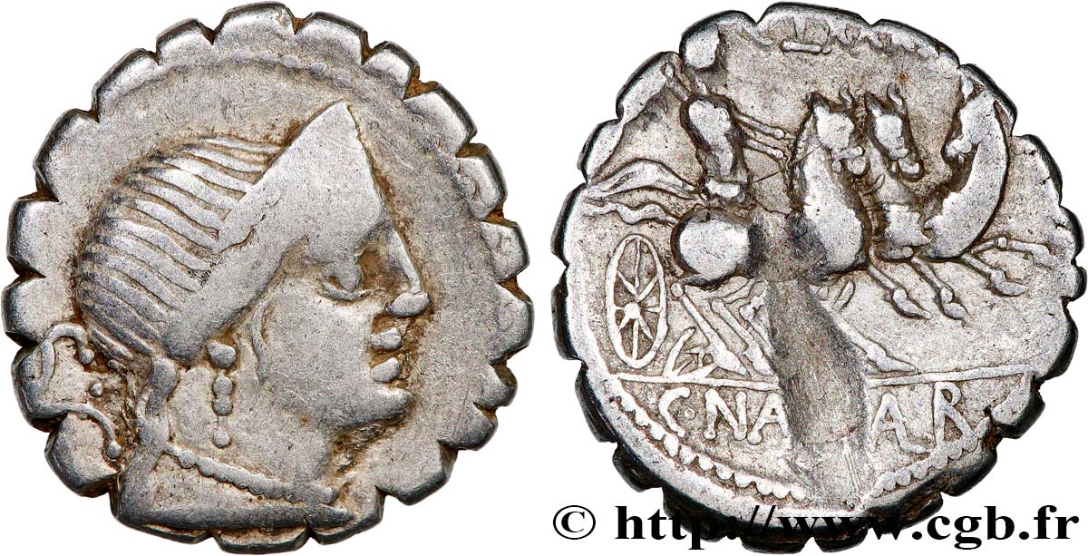 NAEVIA Denier serratus TTB