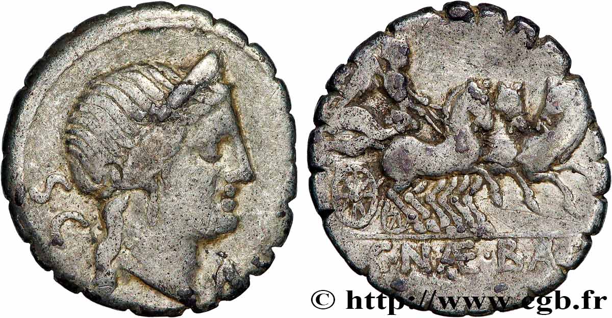 NAEVIA Denier serratus TTB