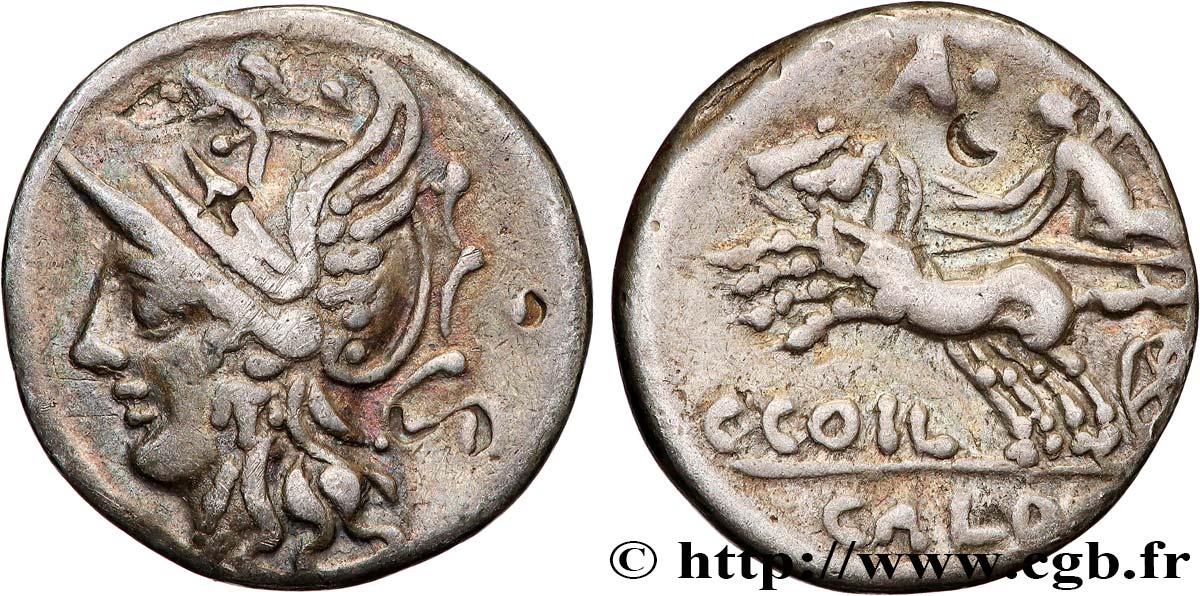 COELIA Denier TTB
