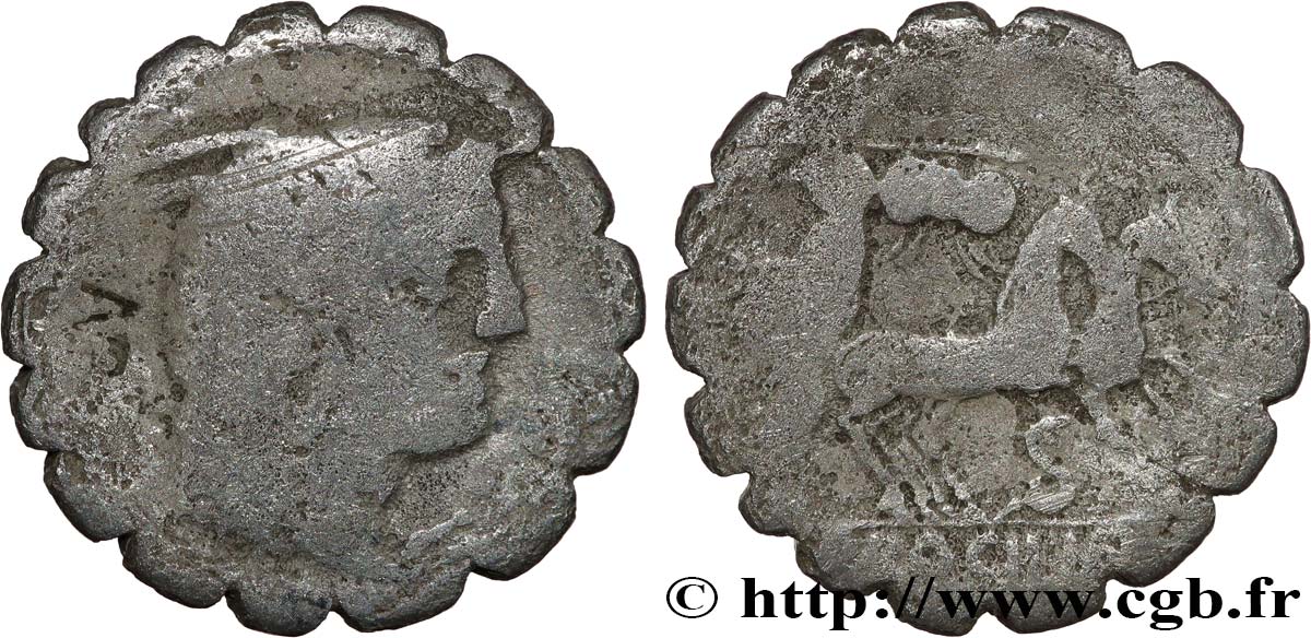 PROCILIA Denier serratus TB