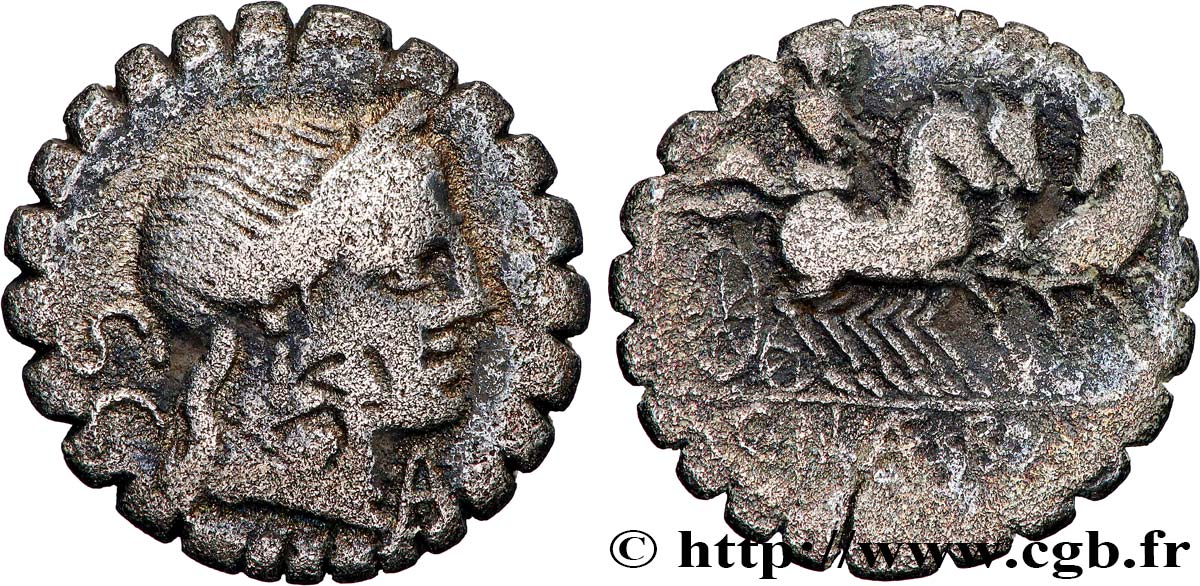 NAEVIA Denier serratus TTB