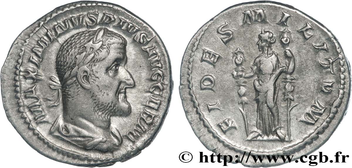 MAXIMINUS I Denier MS