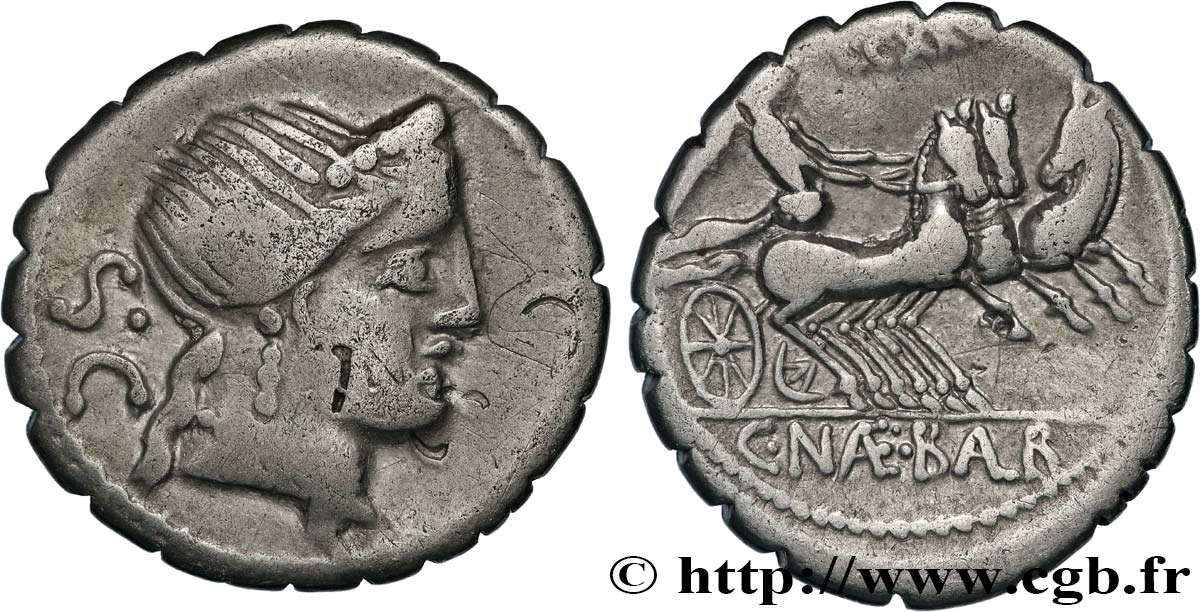 NAEVIA Denier serratus TTB