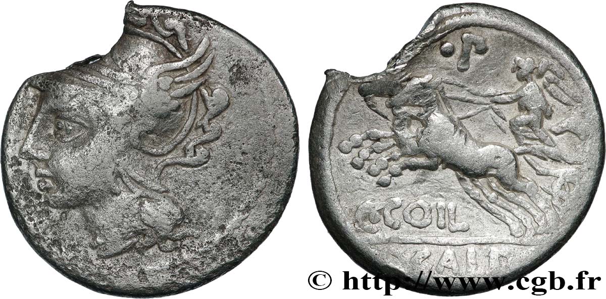 COELIA Denier TB+